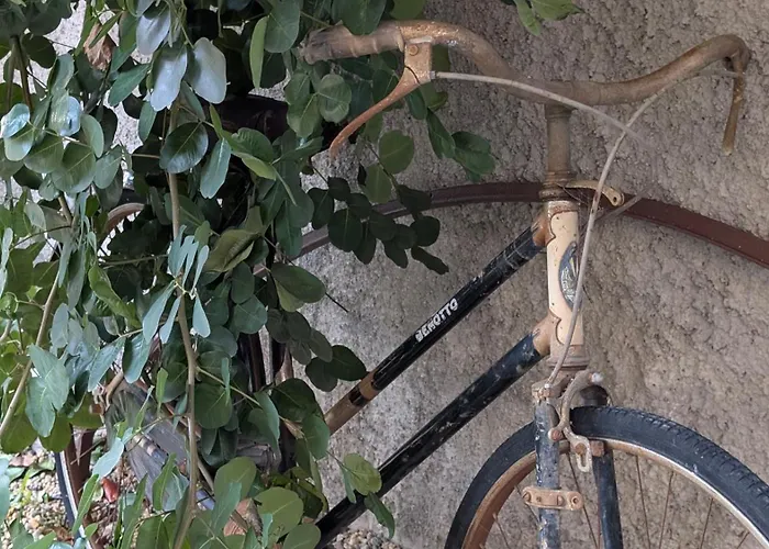 Meine Sonne Riviera, Storico Con Vista Mare, Terrazzo E Parcheggio Apartmanhotel